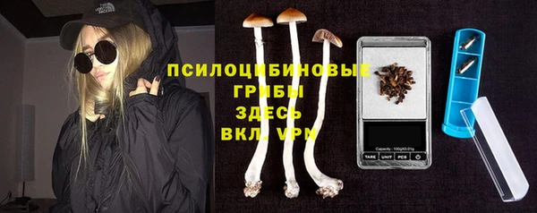 сатива Магас