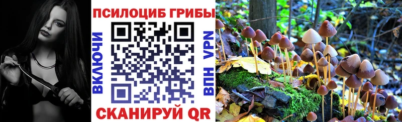 как найти   Полтавская  Галлюциногенные грибы Cubensis 